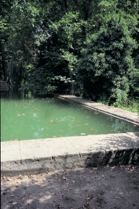 La Bassin du Jas de Bouffan, photographie du site cézannien NR000, Photographie Machotka